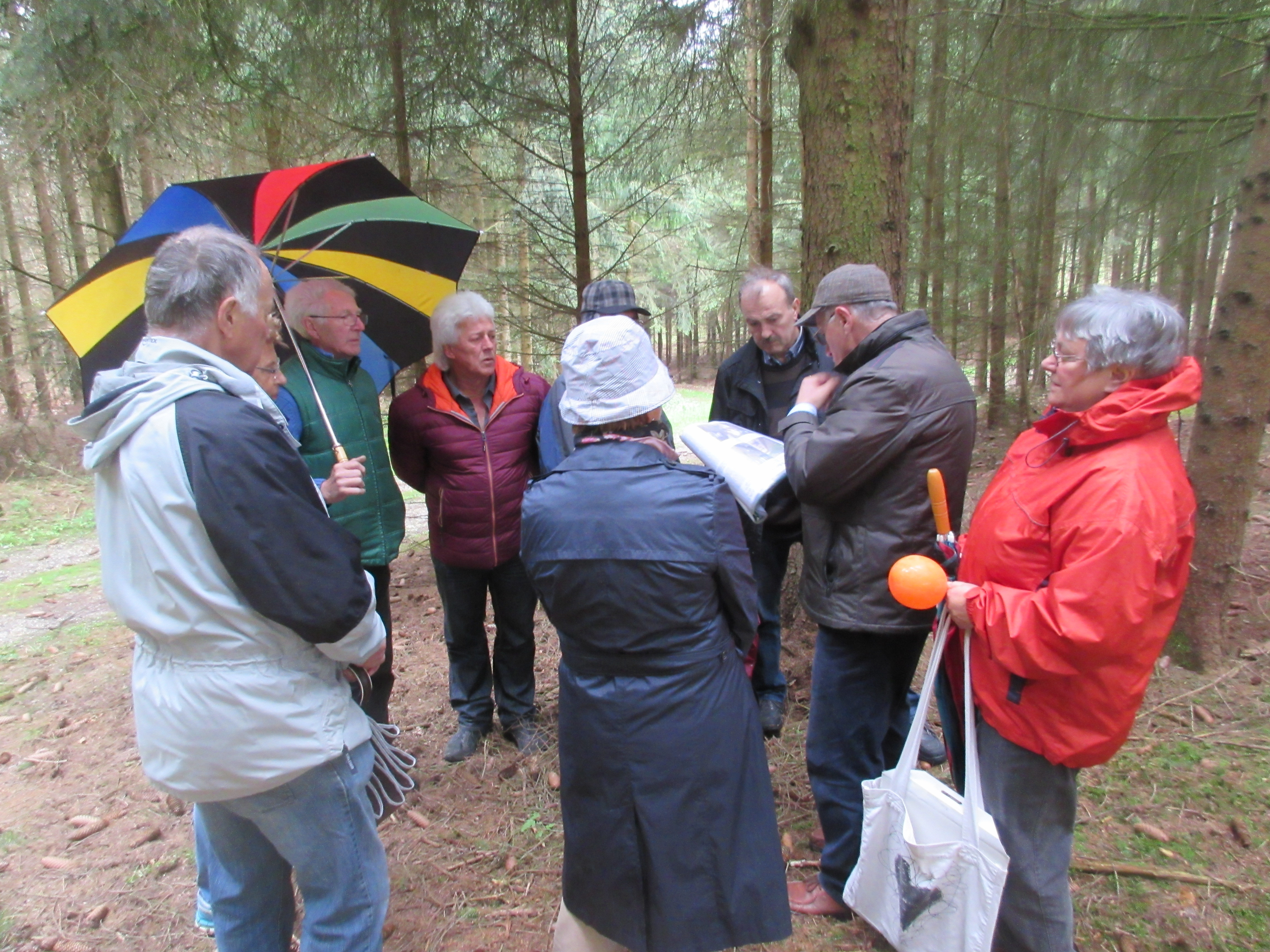 Besichtigung der Ausgrabungsstätten 